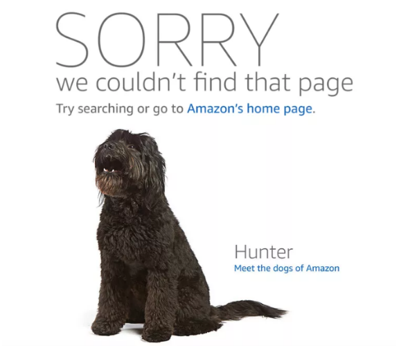 又挂一个！亚马逊卖家半年来的艰辛谁懂？