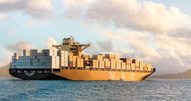 过去一年里，MSC买下了1.5个太平船务……